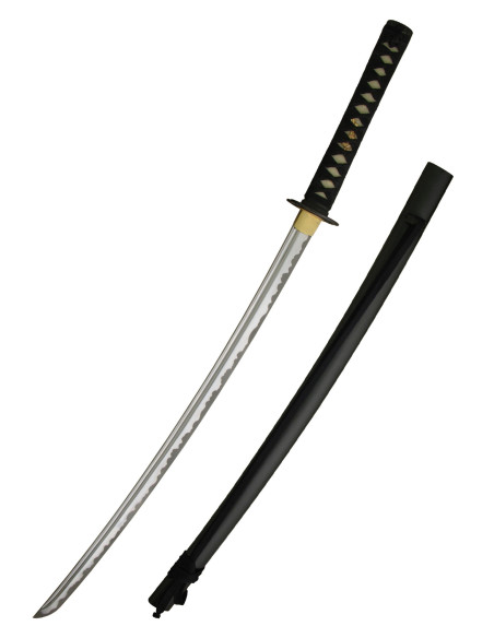 Iaito Musashi door Paul Chen, vel in...