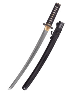 Wakizashi Bambusmatte von Hanwei (65,1 cm.)