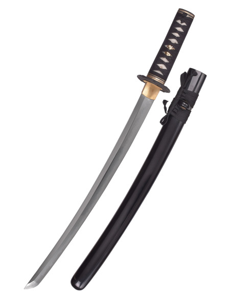 Wakizashi Bambusmatte von Hanwei...