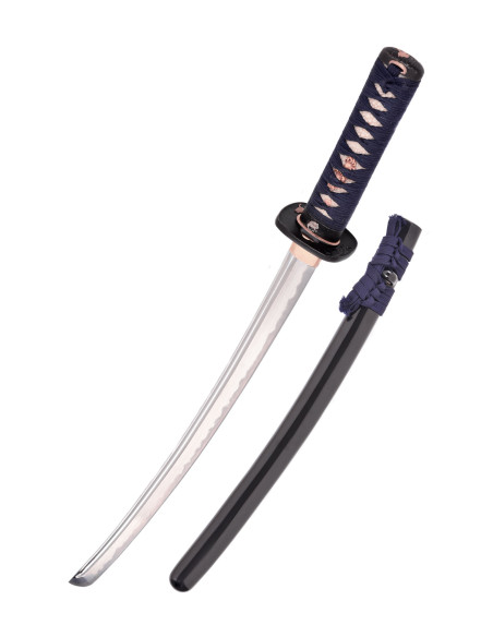 Wakizashi Kaeru Frosch aus Hanwei...