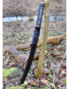Wakizashi Kaeru Kikker van Hanwei (70,5 cm.) 2