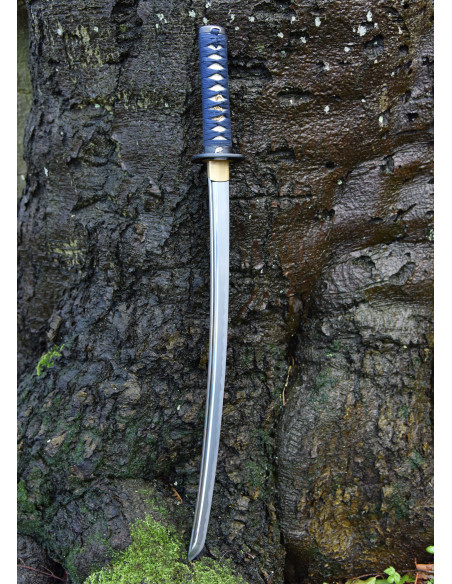 Wakizashi Kaeru Kikker van Hanwei...