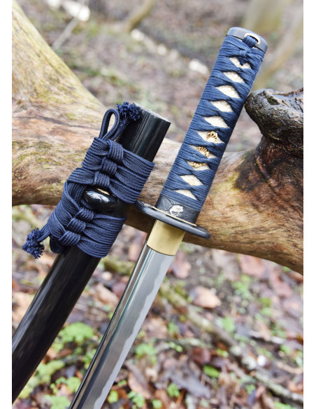 Wakizashi Kaeru Kikker van Hanwei...