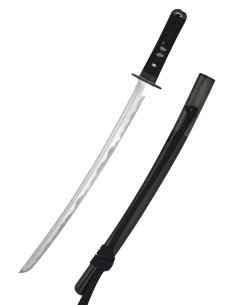 Wakizashi Iaito Tsuru aus Hanwei (69,2 cm)
