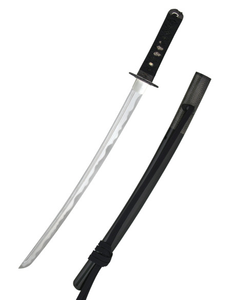 Wakizashi Iaito Tsuru de Hanwei (69,2...