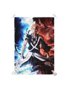 Estandarte-Bandera de Ichigo Kurosaki, Bleach (100 x 70 cm.)