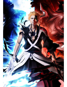 Banner-flag af Ichigo Kurosaki, Bleach (100 x 70 cm.) 2