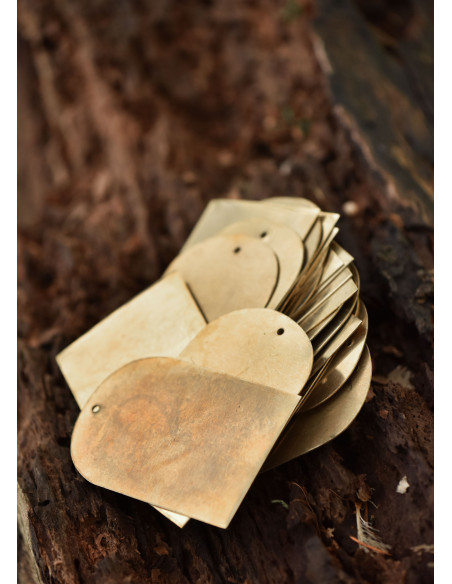 Set van 25 messing plaatjes voor...