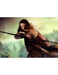 Vaandelvlag van Bard I - The Archer, The Hobbit 2