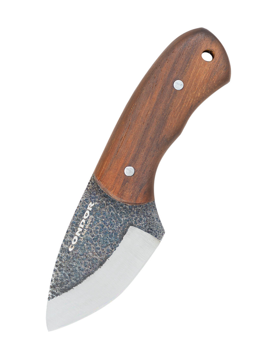 Cuchillo Cuello de Escarabajo ⚔️ Tienda-Medieval