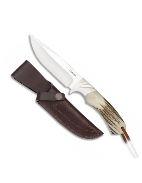 Albainox jagtkniv hjorteskaft
