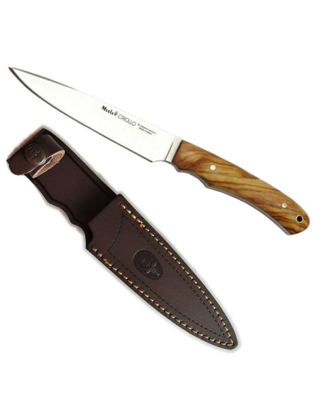 Cuchillo caza Criollo, madera olivo Cuchillo caza Criollo, madera olivo