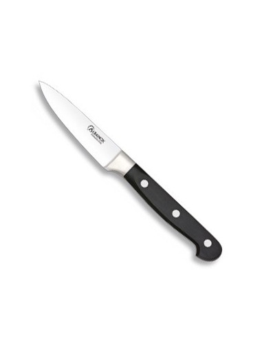 ARCOS Juego de 5 cuchillos de acero inoxidable nitrum. Cuchillo de cocina  profesional para pelar frutas y verduras. Mango ergonómico POM de