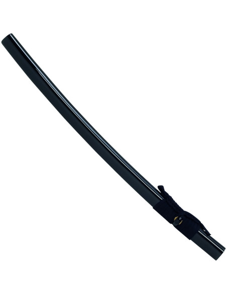 Iaito Ninja de John Lee