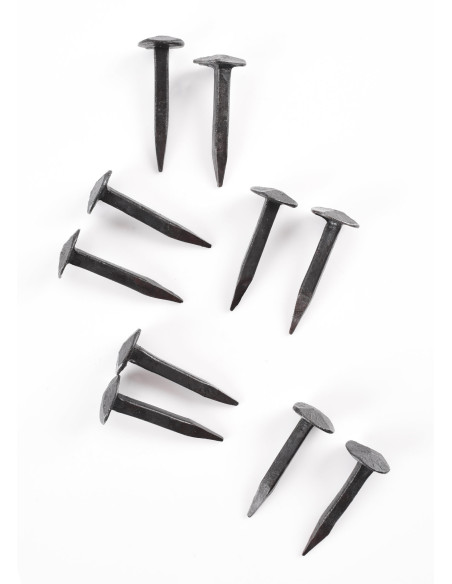 Set van 10 gesmede spijkers voor...