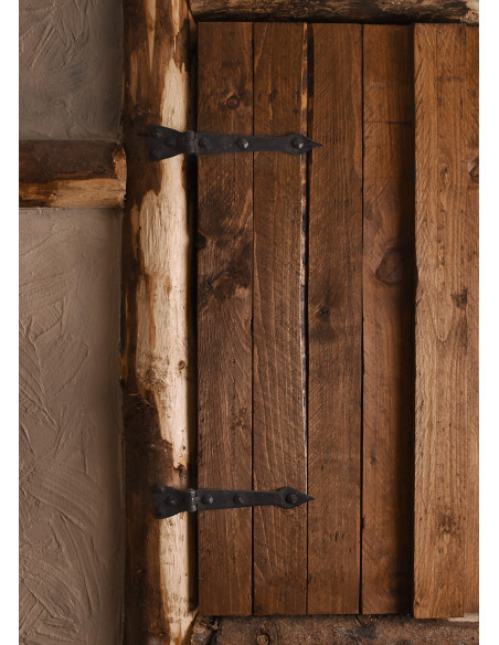 Set van 10 gesmede spijkers voor...