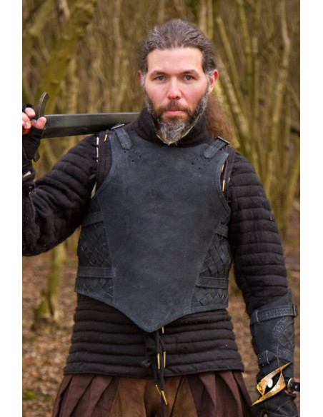 Volledige borstplaat set Ranger van...