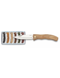 Sæt 6 knive Albainox træ