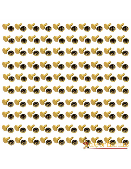 Set van 100 knopen, type klinknagel,...