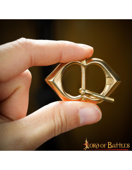 Set van 5 messing gespen voor...