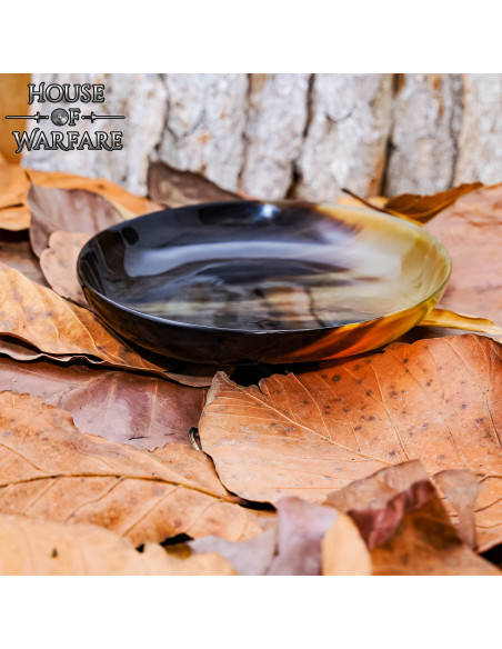 Middelalderplade lavet af hornhorn...