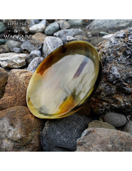 Middeleeuws bord van hoorn hoorn (15...