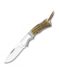Hjortegevir skaft kniv og stål bolster, klinge 8 cm.