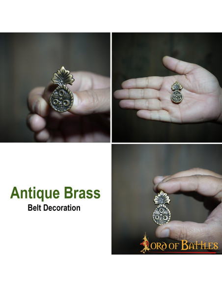 Set van 5 ananasornamenten in...