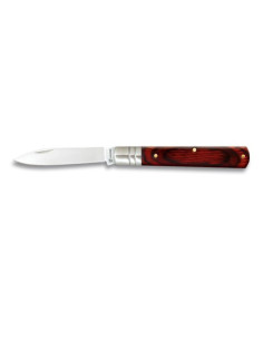 Zuigermes met rood Stamina-handvat (lemmet van 6 cm)