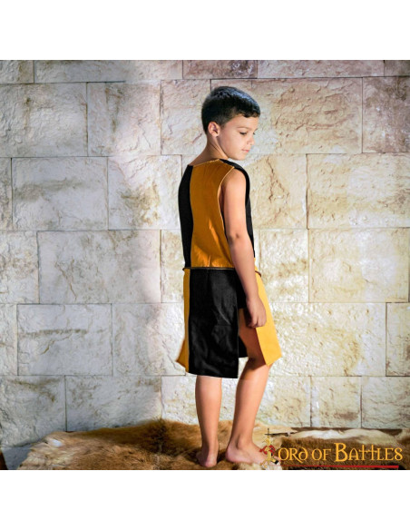 Tabardo niño escudo León Rampante,...