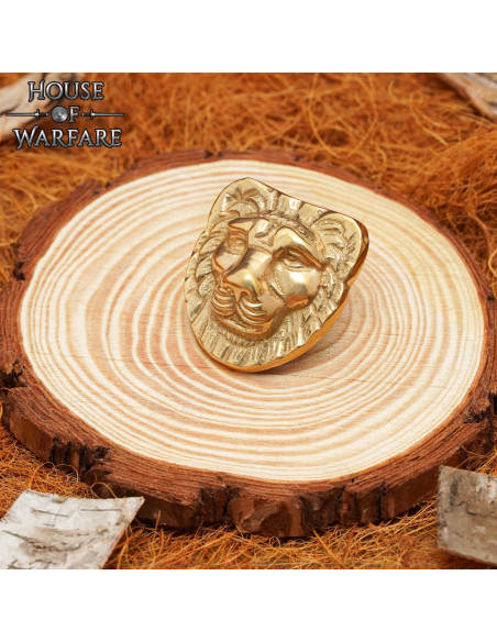 Messing leeuwenkop decoratie