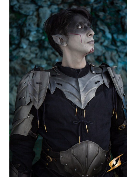 Dark Elf schoudervullingen nacht charme