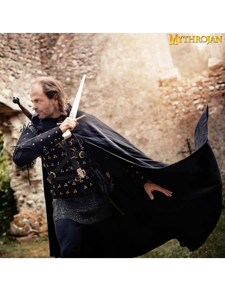 Medieval Knight Adventurer...