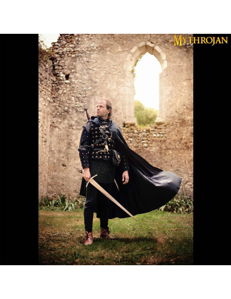 Medieval Knight Adventurer...