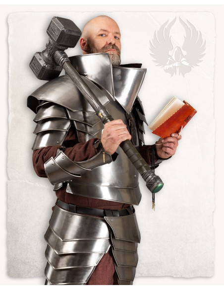 Vigor-pantserschoudervullingen van staal