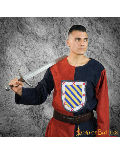 Middeleeuws tabard tweekleurig heraldisch schild