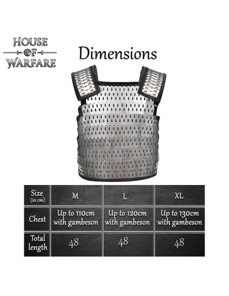 Armadura lamelar Birka vikinga en acero