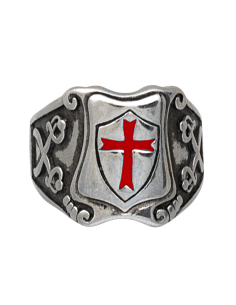 Stalen ring van het Tempeliersschild 2