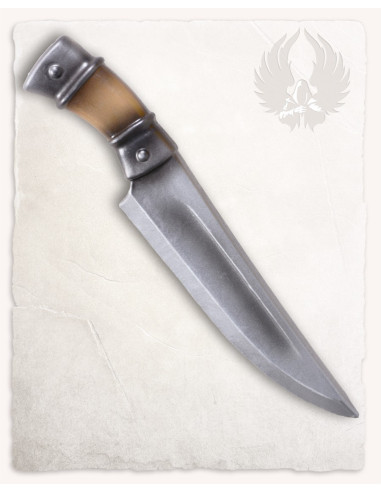Fantastisk kniv Darius model (29 cm.)