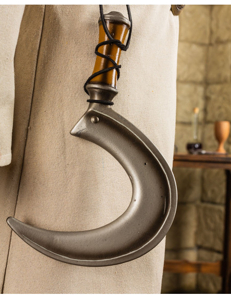 Kleine LARP zeis Taliesin-model