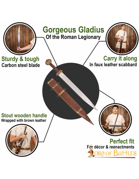 Romeins zwaard type gladius leren schede