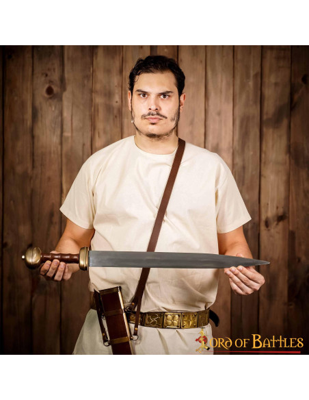 Romeins zwaard type gladius leren schede
