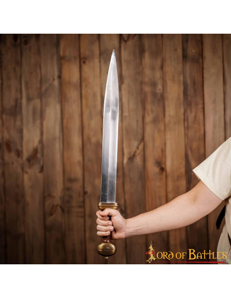 Romeins zwaard type gladius leren schede