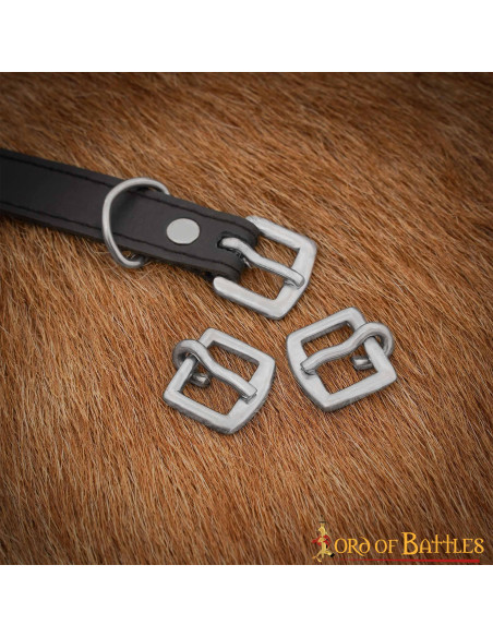 Set van 3 stalen gespen (1,8 x 2 cm.)