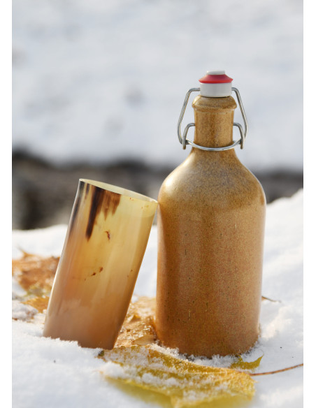 Vikingglas zonder gravures in...