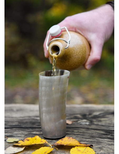 Vikingglas zonder gravures in...