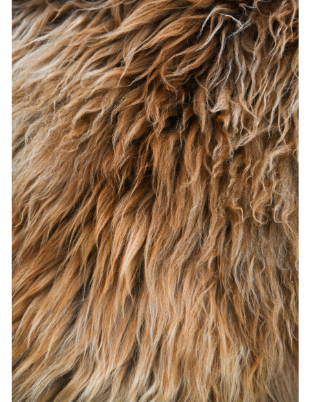 Piel Berserker marrón para guerreros...