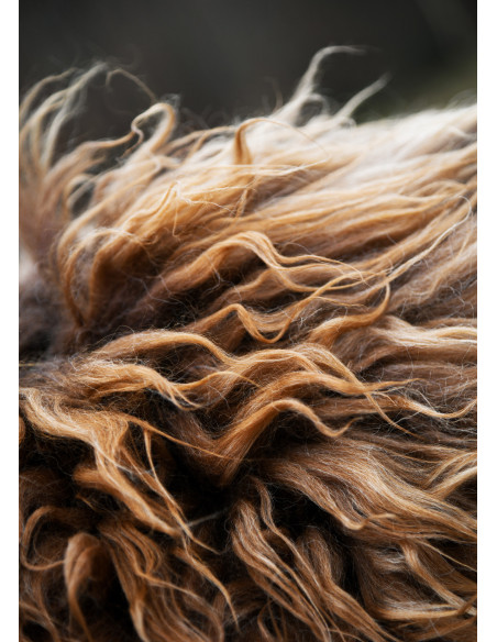 Bruine Berserkerhuid voor krijgers...