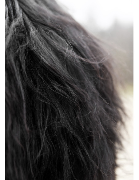 Zwarte Berserker-skin voor krijgers...