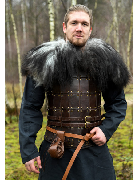 Skulderbetræk til krigere i nordisk...